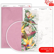 Папір дизайнерський двосторонній матовий King Protea 4, 21х29,7 см, 200 г/м2, ROSA Talent
