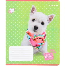 Зошит 12 арк., лінія, софт тач + УФ лак, Studio Pets SP22-234 Kite