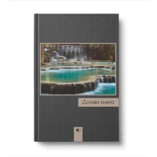 Ділова книга "Природа" А4, 80 арк. клітинка, 7БЦ, тверда палітурка, 4 види, ДК-80-А4#