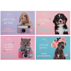 Зошит для малювання, 12 арк., скоба, софт тач + УФ лак, Studio Pets SP23-241 Kite