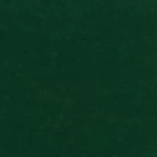 Фетр Santi жорсткий, темно-зелений, 21*30см., (ціна за 1 шт.) 740420