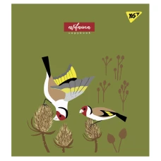 Зошит А5/24 арк кліт YES "Avifauna" мат. ВДЛ+УФ-виб. 766833