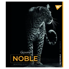 Зошит А5/48 арк кліт YES "Noble" мат. ВДЛ+УФ-виб.+ мікроембосінг 766862
