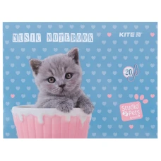 Зошит для нот А5, 20арк, Studio Pets SP24-405 Kite