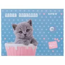 Зошит для нот А5, 20арк, Studio Pets SP24-405 Kite