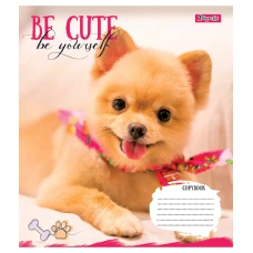 Зошит А5/12 арк коса 1В Be cute, 766927
