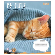 Зошит А5/12 арк коса 1В Be cute, 766927