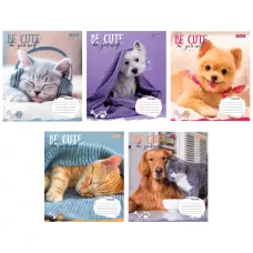 Зошит А5/12 арк коса 1В Be cute, 766927