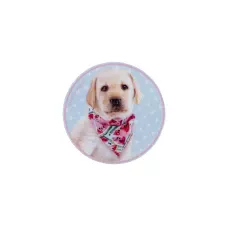 Бейдж на липучці SP24-3011-2 Studio Pets