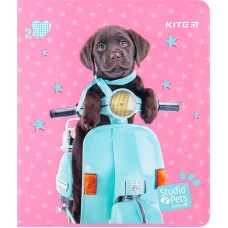 Зошит 24 арк., клітинка, софт тач + УФ лак, Studio Pets SP24-238 Kite