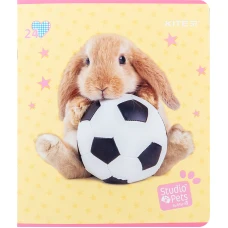 Зошит 24 арк., клітинка, софт тач + УФ лак, Studio Pets SP24-238 Kite