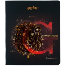 Зошит 48 арк., клітинка, софт тач + УФ лак, Harry Potter HP24-259 Kite