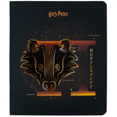 Зошит 48 арк., клітинка, софт тач + УФ лак, Harry Potter HP24-259 Kite