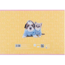 Зошит для малювання, 12 арк., скоба, софт тач + УФ лак, Studio Pets SP24-241 Kite