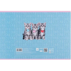 Зошит для малювання, 12 арк., скоба, софт тач + УФ лак, Studio Pets SP24-241 Kite
