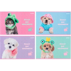 Зошит для малювання, 24 арк., скоба, софт тач + УФ лак, Studio Pets SP24-242 Kite