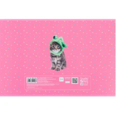 Зошит для малювання, 24 арк., скоба, софт тач + УФ лак, Studio Pets SP24-242 Kite