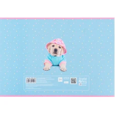 Зошит для малювання, 24 арк., скоба, софт тач + УФ лак, Studio Pets SP24-242 Kite