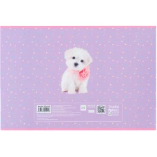 Зошит для малювання, 24 арк., скоба, софт тач + УФ лак, Studio Pets SP24-242 Kite