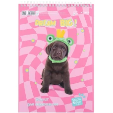 Зошит для малювання, 30 арк., спір., софт тач + УФ лак, Studio Pets SP24-243 Kite