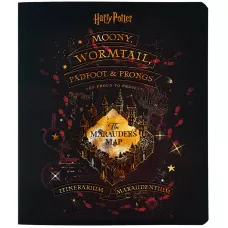 Зошит 48 арк., клітинка, софт тач + УФ лак, Harry Potter HP24-259 Kite