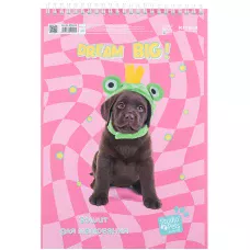 Зошит для малювання, 30 арк., спір., софт тач + УФ лак, Studio Pets SP24-243 Kite