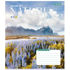 Зошит А5/96 арк кліт 1В Colors of nature, 767412