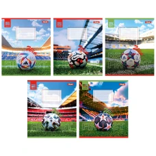 Зошит А5/24 арк кліт 1В Win, 767008