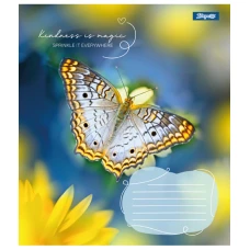 Зошит А5/24 арк кліт 1В Butterfly, 767273