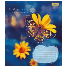 Зошит А5/24 арк кліт 1В Butterfly, 767273