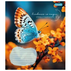 Зошит А5/24 арк кліт 1В Butterfly, 767273