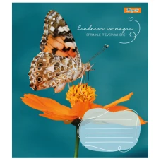 Зошит А5/24 арк кліт 1В Butterfly, 767273