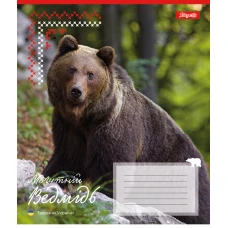 Зошит А5/18 арк кліт 1В Animals of Ukraine, 767231