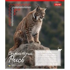 Зошит А5/18 арк кліт 1В Animals of Ukraine, 767231
