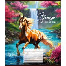 Зошит А5/24 арк кліт 1В Stronger than the storm, 767285
