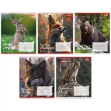 Зошит А5/18 арк кліт 1В Animals of Ukraine, 767231