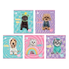 Зошит 24 арк., лінія, софт-тач + УФ лак, Studio Pets SP24-239 Kite