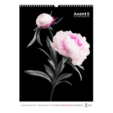 Календар настінний А3 2025 р., One color art 8804-25-2-A