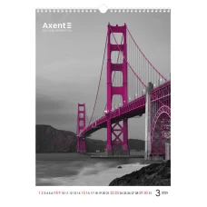 Календар настінний А3 2025 р., One color art 8804-25-2-A