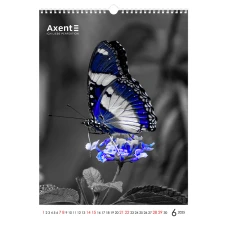 Календар настінний А3 2025 р., One color art 8804-25-2-A