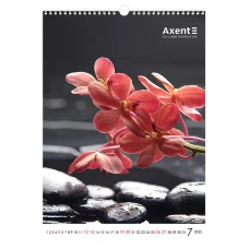 Календар настінний А3 2025 р., One color art 8804-25-2-A