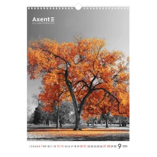 Календар настінний А3 2025 р., One color art 8804-25-2-A