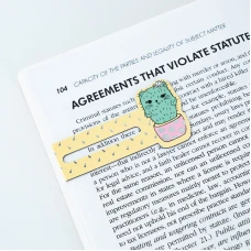 Набір магнітних закладок-індикаторів Cactus K24-496-2