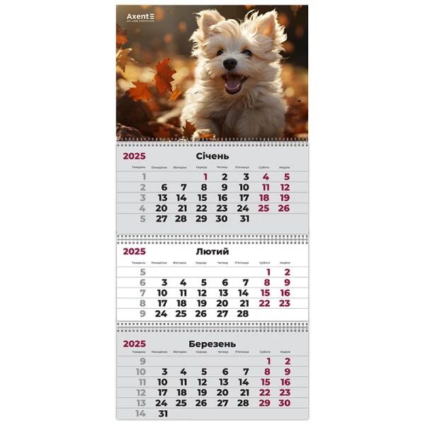 Календар настінний квартальний 2025 р.,3 пр. Dogs 3, 8803-25-18-A