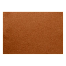 Фетр Santi м'який, світло-коричневий, 21*30см. (ціна за 1 арк.) 740458