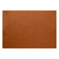 Фетр Santi м'який, світло-коричневий, 21*30см. (ціна за 1 арк.) 740458