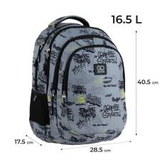 Рюкзак GoPack Education Teens GO25-162M-4