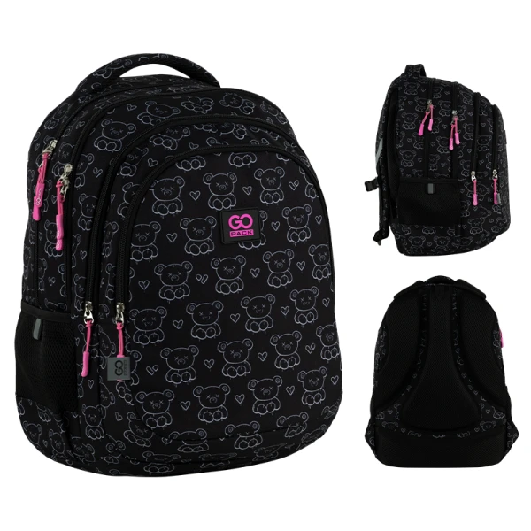 Рюкзак GoPack Education Teens GO25-162L-2