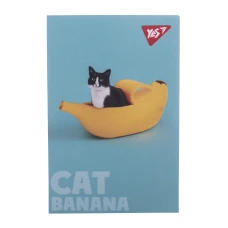 Блокнот А7 48арк., кліт., клей, "Catstyle" 152099 YES