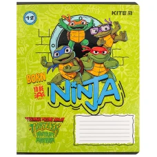 Зошит 12 арк., клітинка, гібр. лак + УФ лак, Ninja Turtles NT24-232 Kite